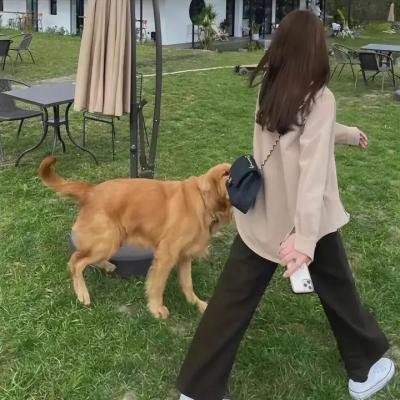 开始跳舞吧 第二季